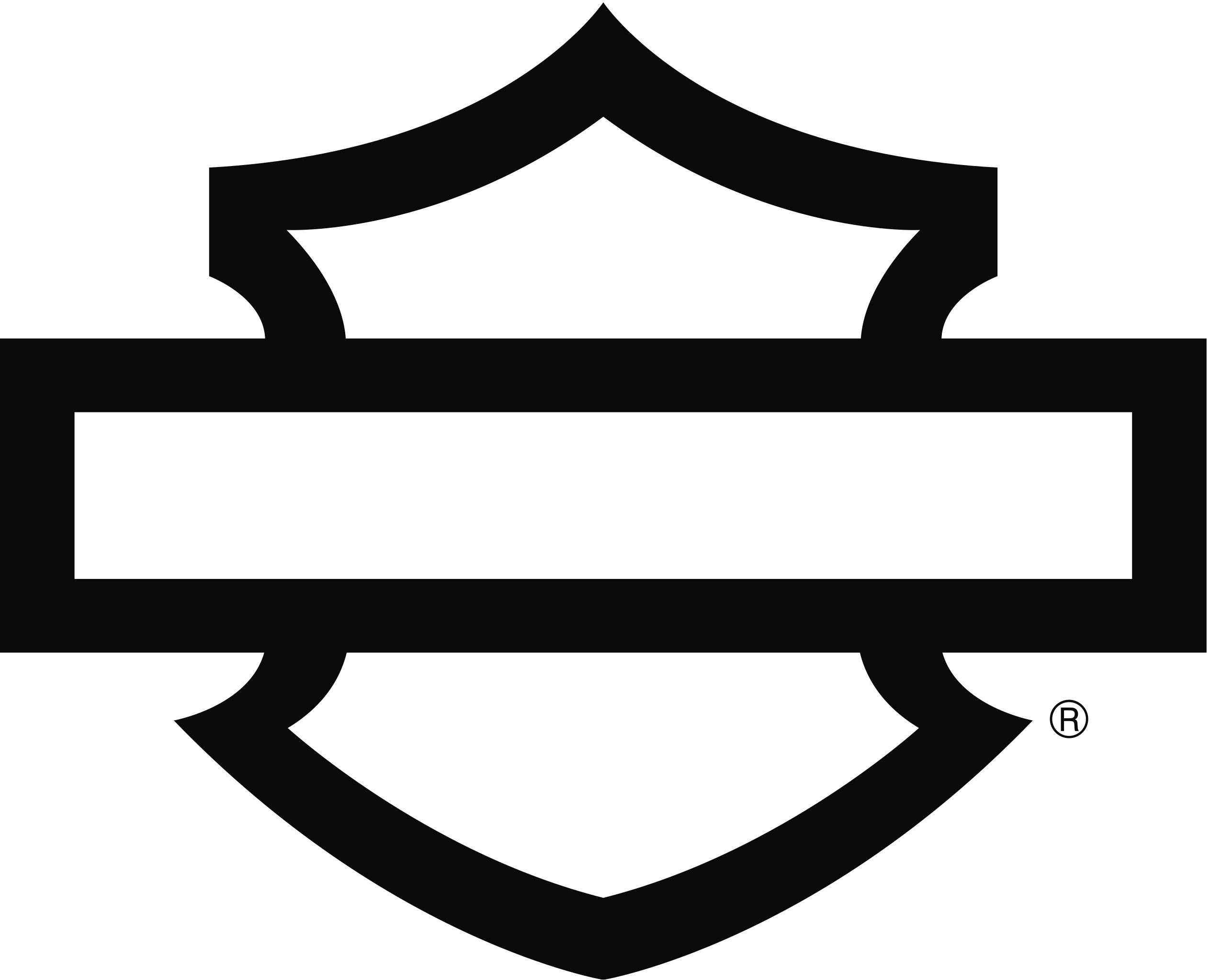 Harley-Davidson OEM