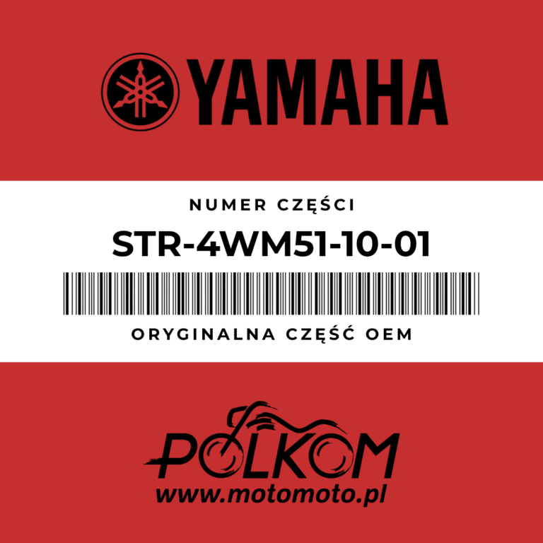 Bagażnik Yamaha XV1600 Road Star STR-4WM51-10-01
